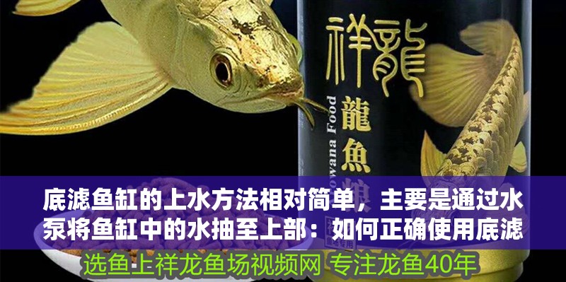 底濾魚(yú)缸的上水方法相對(duì)簡(jiǎn)單，主要是通過(guò)水泵將魚(yú)缸中的水抽至上部：如何正確使用底濾魚(yú)缸