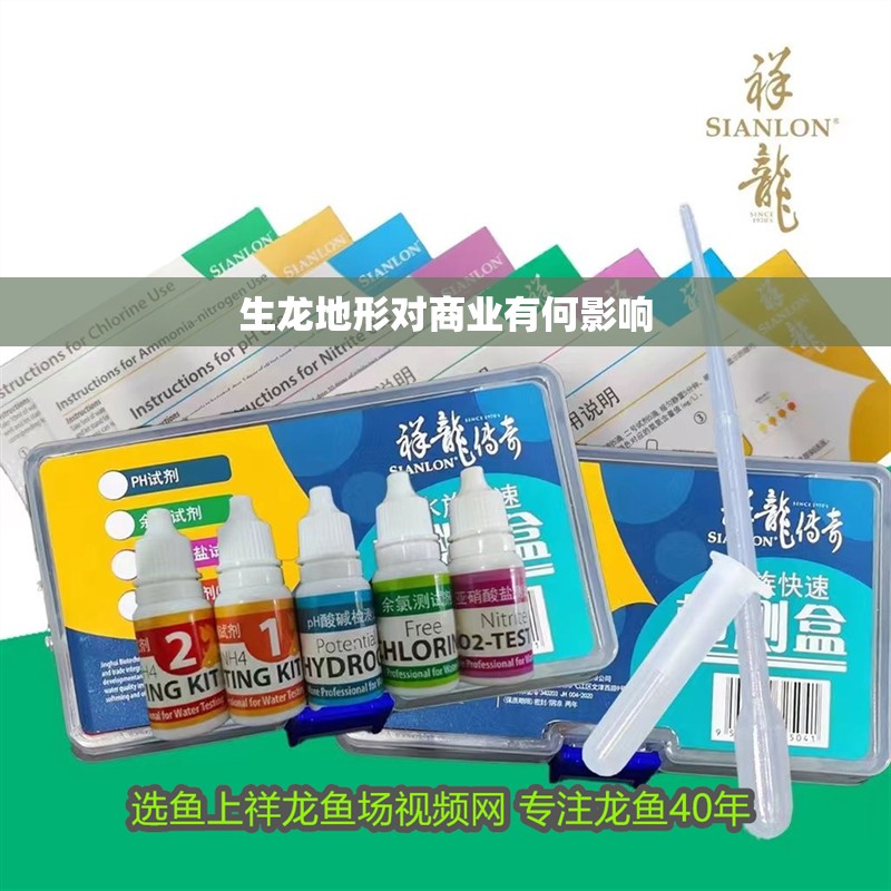 生龍地形對商業有何影響