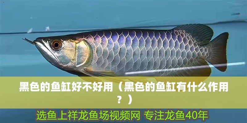 黑色的魚(yú)缸好不好用（黑色的魚(yú)缸有什么作用？）