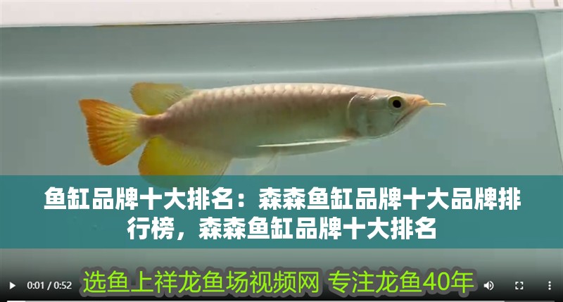 魚缸品牌十大排名：森森魚缸品牌十大品牌排行榜，森森魚缸品牌十大排名