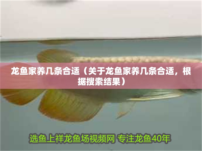 龍魚家養幾條合適（關于龍魚家養幾條合適，根據搜索結果）