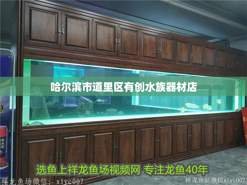 哈爾濱市道里區(qū)有創(chuàng)水族器材店