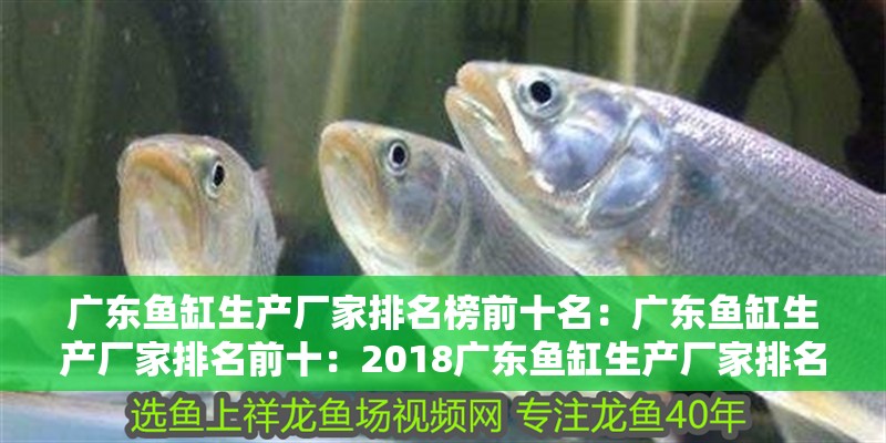 廣東魚缸生產廠家排名榜前十名：廣東魚缸生產廠家排名前十：2018廣東魚缸生產廠家排名榜前十名