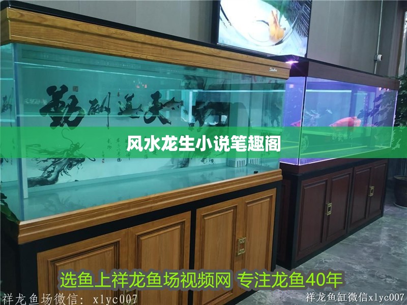 風水龍生小說筆趣閣