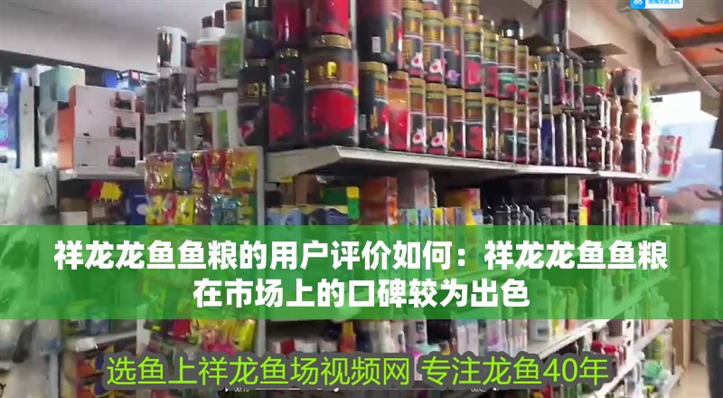 祥龍龍魚魚糧的用戶評價如何：祥龍龍魚魚糧在市場上的口碑較為出色