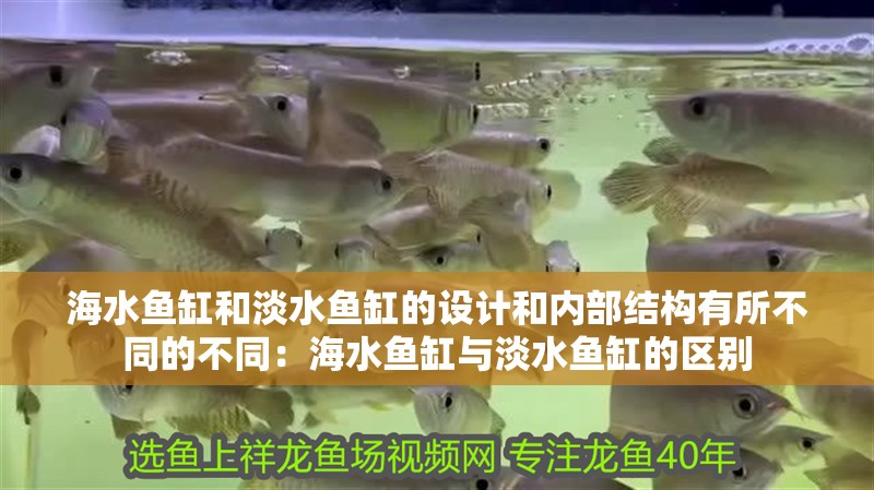海水魚缸和淡水魚缸的設計和內部結構有所不同的不同：海水魚缸與淡水魚缸的區別