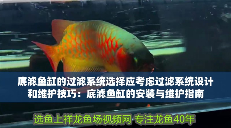底濾魚缸的過濾系統選擇應考慮過濾系統設計和維護技巧：底濾魚缸的安裝與維護指南