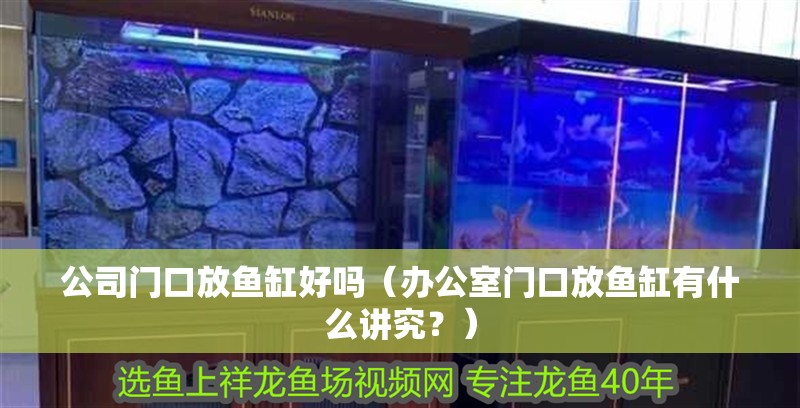 公司門口放魚缸好嗎（辦公室門口放魚缸有什么講究？）
