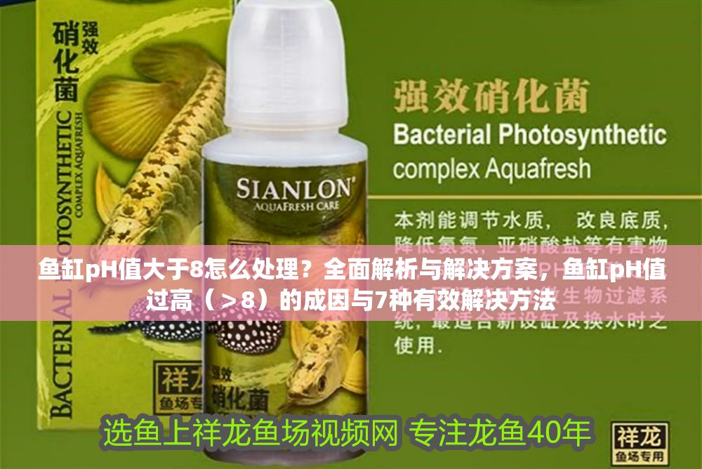 魚缸pH值大于8怎么處理？全面解析與解決方案，魚缸pH值過高（＞8）的成因與7種有效解決方法