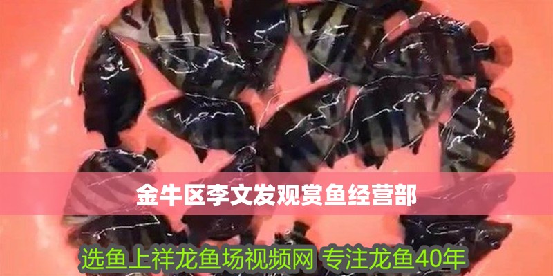 金牛區李文發觀賞魚經營部