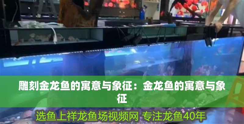 雕刻金龍魚(yú)的寓意與象征：金龍魚(yú)的寓意與象征