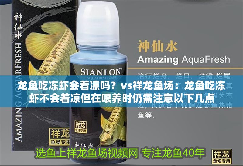 龍魚吃凍蝦會著涼嗎？vs祥龍魚場：龍魚吃凍蝦不會著涼但在喂養(yǎng)時仍需注意以下幾點(diǎn)