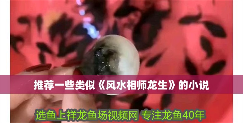 推薦一些類似《風水相師龍生》的小說