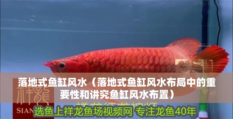 落地式魚缸風(fēng)水（落地式魚缸風(fēng)水布局中的重要性和講究魚缸風(fēng)水布置）
