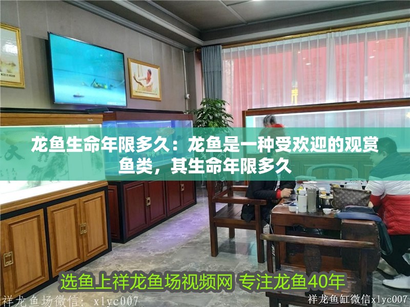 龍魚生命年限多久：龍魚是一種受歡迎的觀賞魚類，其生命年限多久