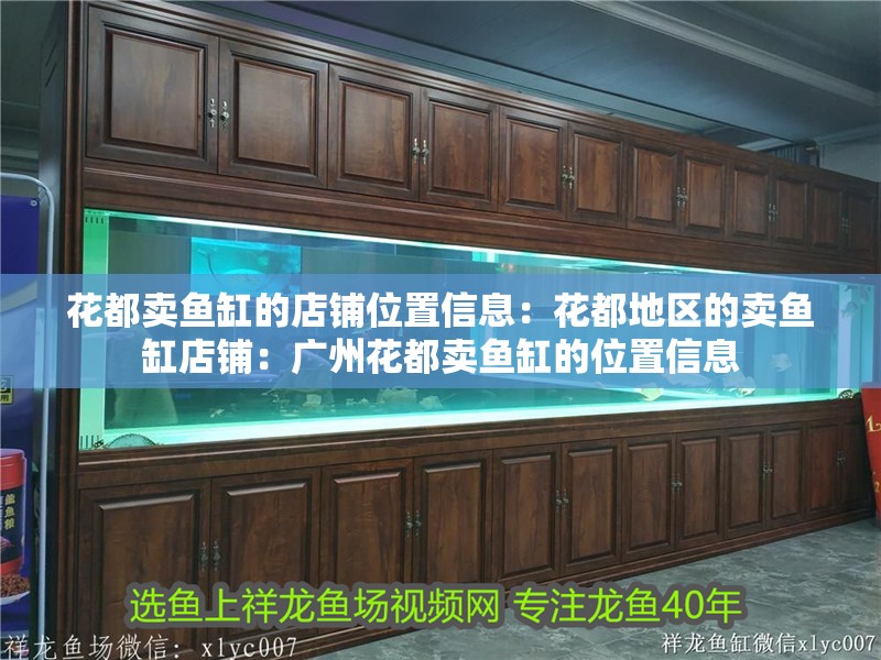 花都賣魚缸的店鋪位置信息：花都地區的賣魚缸店鋪：廣州花都賣魚缸的位置信息 花都賣魚缸的店鋪位置信息：花都地區的賣魚缸店鋪：廣州花都賣魚缸的位置信息 魚缸百科