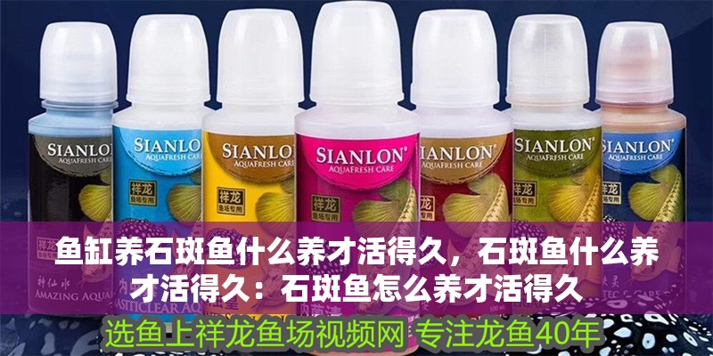 魚缸養石斑魚什么養才活得久，石斑魚什么養才活得久：石斑魚怎么養才活得久