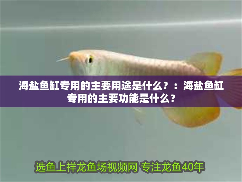 海鹽魚缸專用的主要用途是什么？：海鹽魚缸專用的主要功能是什么？