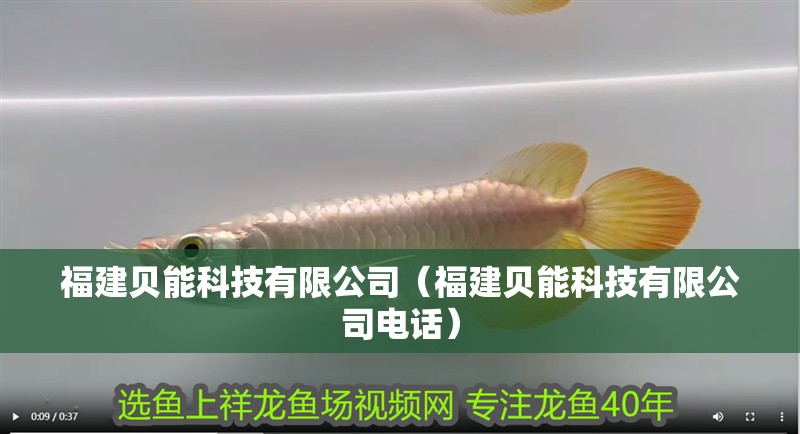 <strong><mark>福建</mark></strong>貝能科技有限公司（<strong><mark>福建</mark></strong>貝能科技有限公司電話）