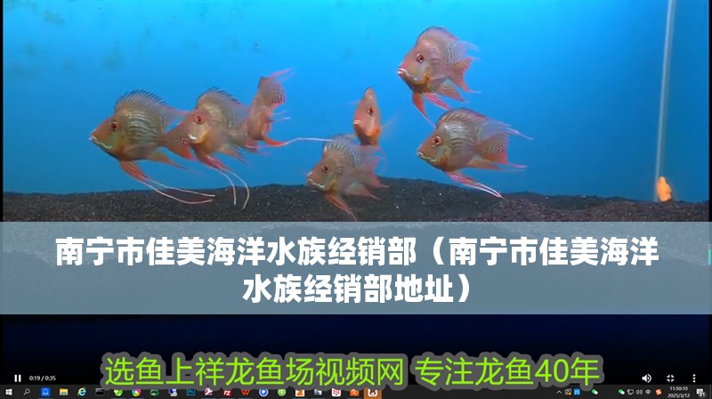 南寧市佳美海洋水族經銷部（南寧市佳美海洋水族經銷部地址）