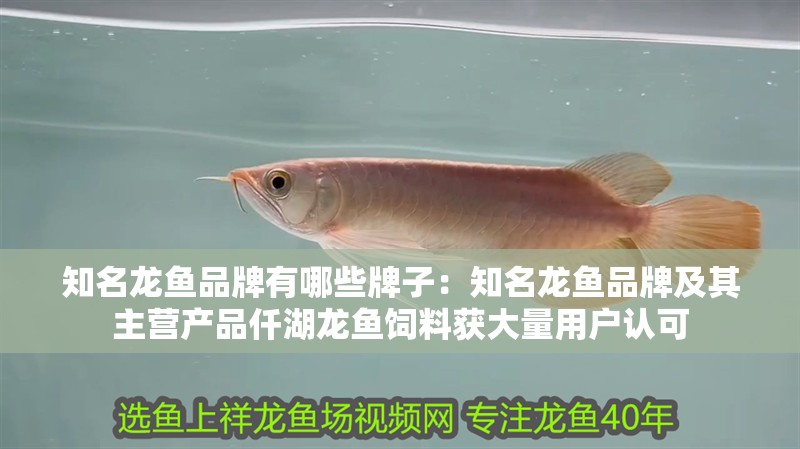 魚缸用增氧泵價格是多少:魚缸增氧機(jī)-xtrac增氧機(jī)-xtrac增氧機(jī) 知名龍魚品牌有哪些牌子:知名龍魚品牌及其主營產(chǎn)品仟湖龍魚飼料獲大量用戶認(rèn)可 龍魚百科 知名龍魚品牌有哪些牌子:知名龍魚品牌及其主營產(chǎn)品仟湖龍魚飼料獲大量用戶認(rèn)可 知名龍魚品牌有哪些牌子:知名龍魚品牌及其主營產(chǎn)品仟湖龍魚飼料獲大量用戶認(rèn)可 龍魚百科