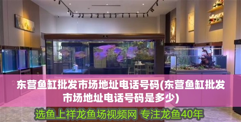 東營魚缸批發(fā)市場地址電話號(hào)碼(東營魚缸批發(fā)市場地址電話號(hào)碼是多少)