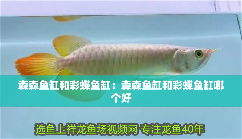 森森魚缸和彩蝶魚缸：森森魚缸和彩蝶魚缸哪個好