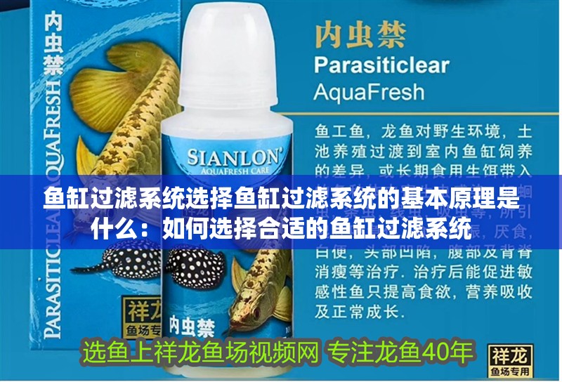 魚缸過濾系統選擇魚缸過濾系統的基本原理是什么：如何選擇合適的魚缸過濾系統