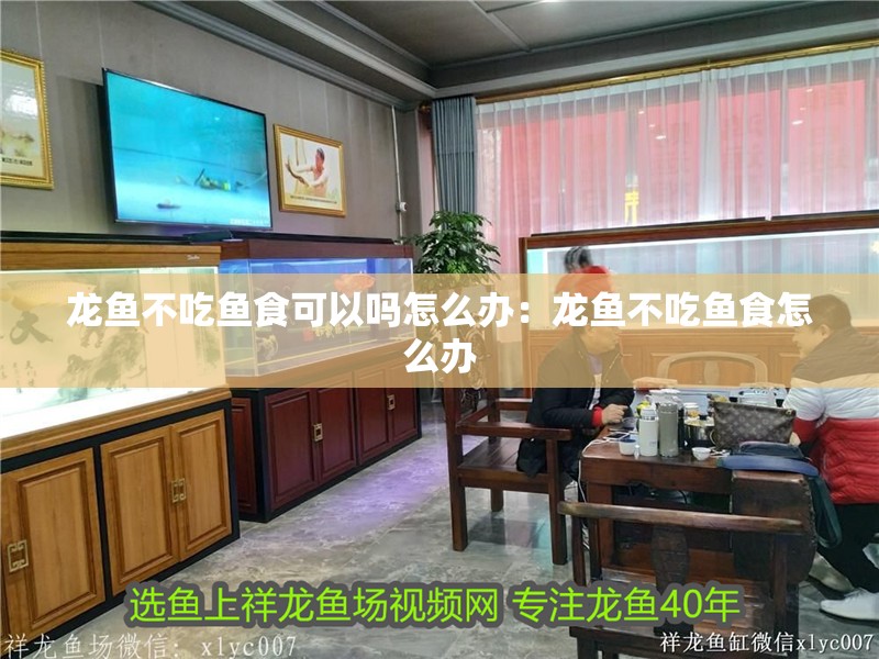 龍魚不吃魚食可以嗎怎么辦：龍魚不吃魚食怎么辦