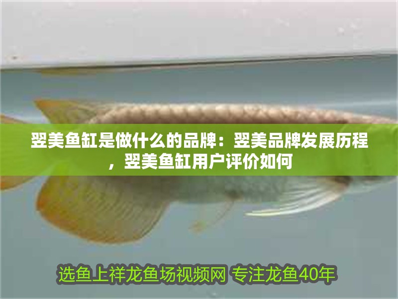 翌美魚缸是做什么的品牌：翌美品牌發(fā)展歷程，翌美魚缸用戶評價如何