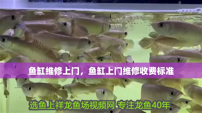魚缸維修上門，魚缸上門維修收費標準
