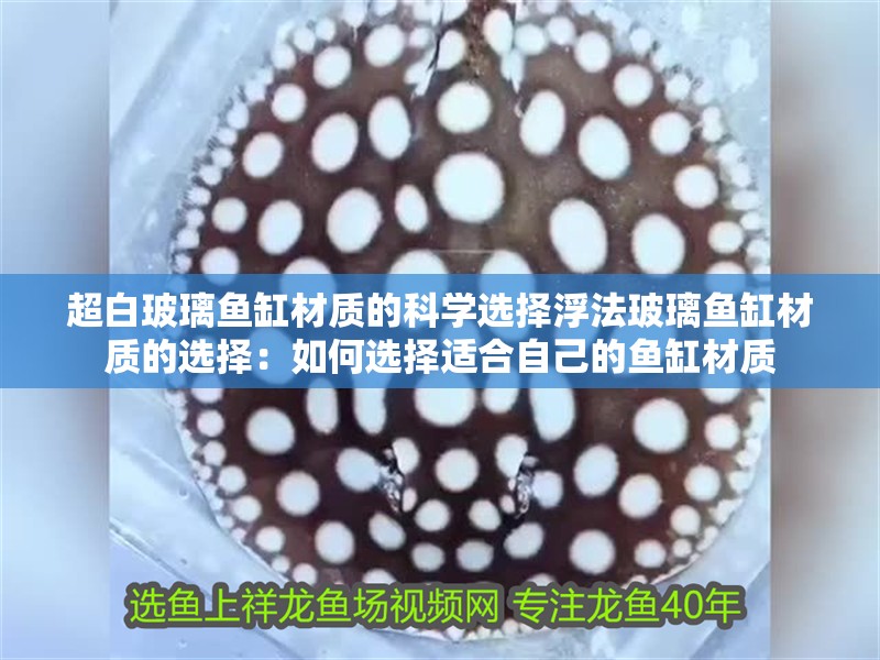 超白玻璃魚缸材質的科學選擇浮法玻璃魚缸材質的選擇：如何選擇適合自己的魚缸材質