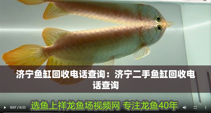 濟寧魚缸回收電話查詢：濟寧二手魚缸回收電話查詢