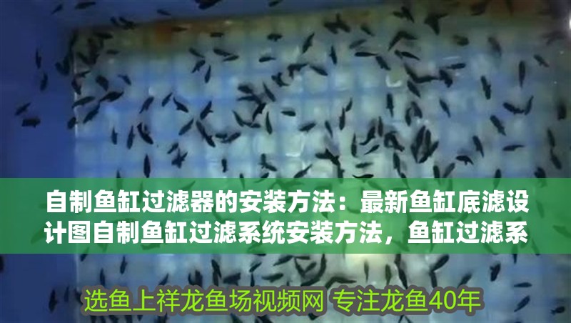 自制魚缸過濾器的安裝方法：最新魚缸底濾設(shè)計(jì)圖自制魚缸過濾系統(tǒng)安裝方法，魚缸過濾系統(tǒng)