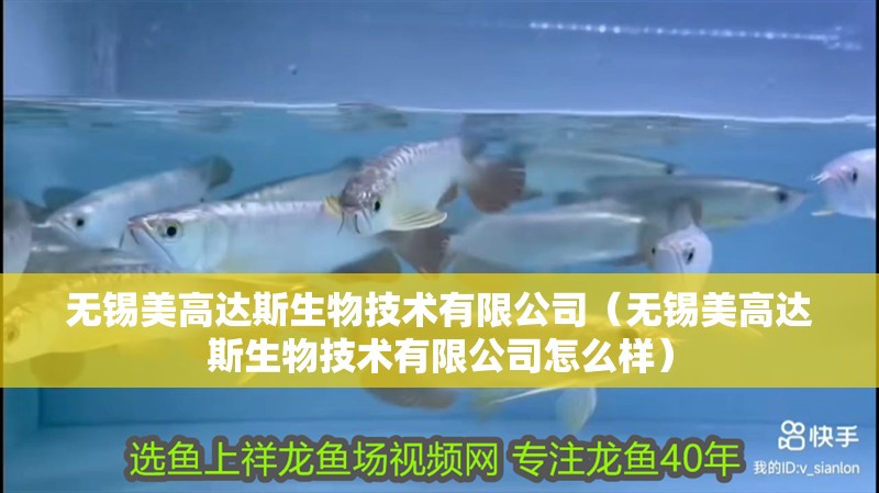 無錫美高達斯生物技術有限公司（無錫美高達斯生物技術有限公司怎么樣）