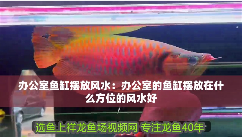 辦公室魚缸擺放風水：辦公室的魚缸擺放在什么方位的風水好