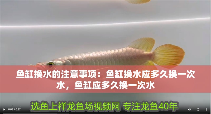 魚缸換水的注意事項：魚缸換水應多久換一次水，魚缸應多久換一次水