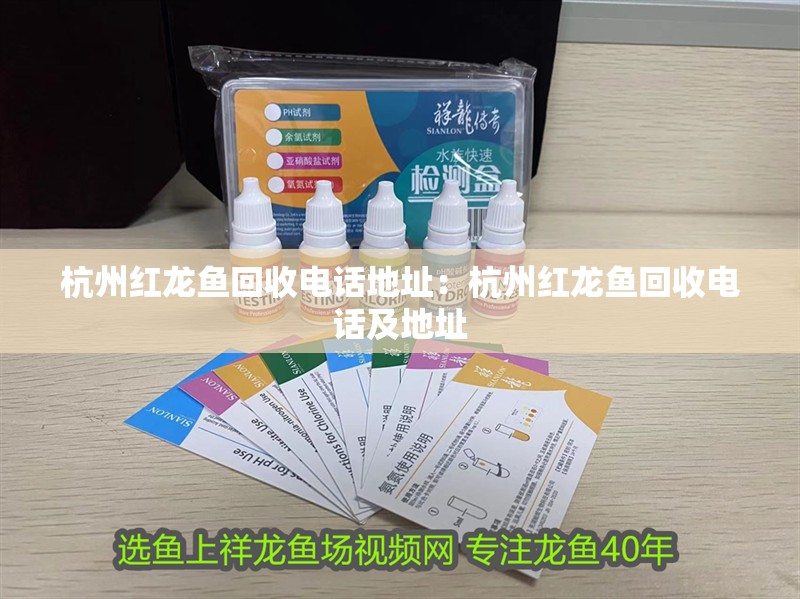 杭州紅龍魚回收電話地址：杭州紅龍魚回收電話及地址