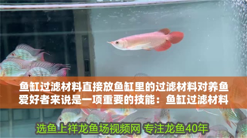魚缸過濾材料直接放魚缸里的過濾材料對養(yǎng)魚愛好者來說是一項重要的技能：魚缸過濾材料的選擇