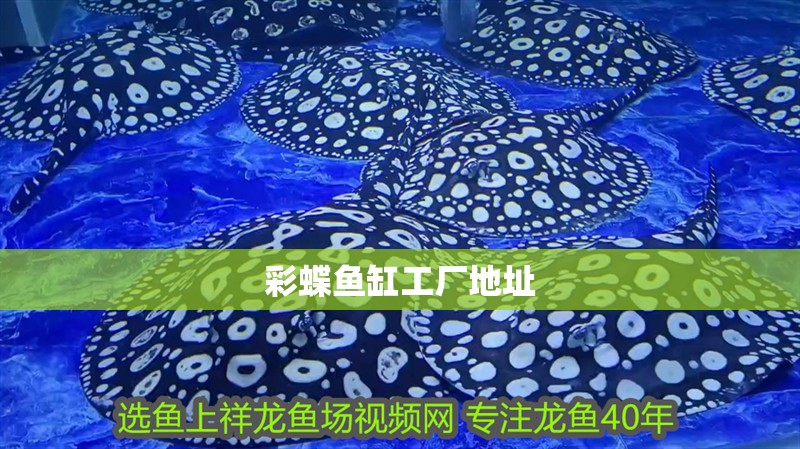 彩蝶魚缸工廠地址