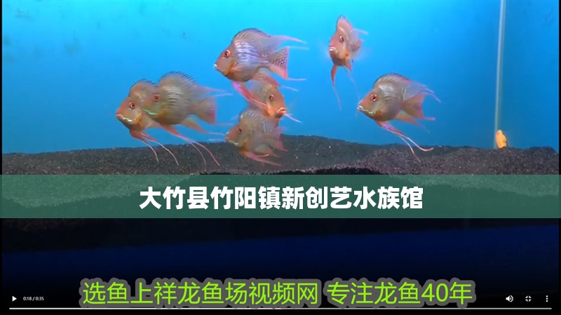 大竹縣竹陽鎮新創藝水族館