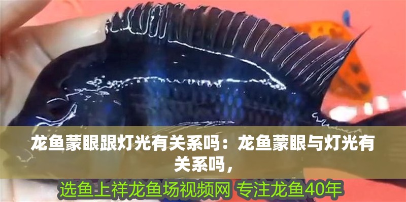 龍魚蒙眼跟燈光有關系嗎：龍魚蒙眼與燈光有關系嗎，