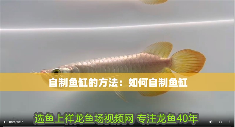 自制魚(yú)缸的方法：如何自制魚(yú)缸