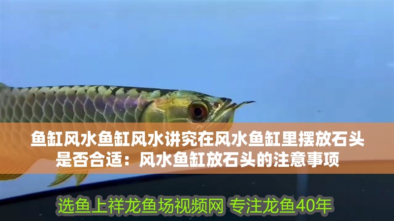 魚缸風水魚缸風水講究在風水魚缸里擺放石頭是否合適：風水魚缸放石頭的注意事項