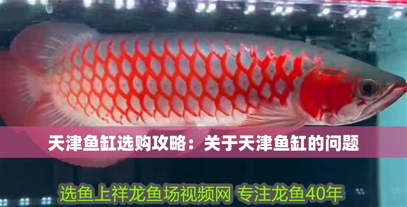 天津魚缸選購攻略：關于天津魚缸的問題