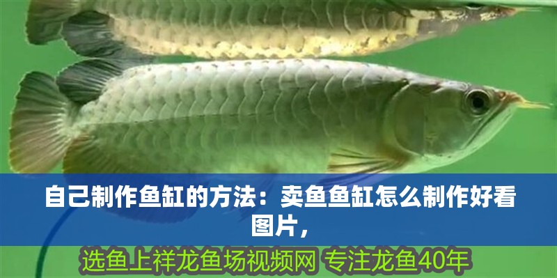 自己制作魚缸的方法：賣魚魚缸怎么制作好看圖片，