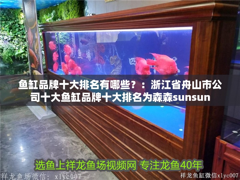 魚缸品牌十大排名有哪些？：浙江省舟山市公司十大魚缸品牌十大排名為森森sunsun