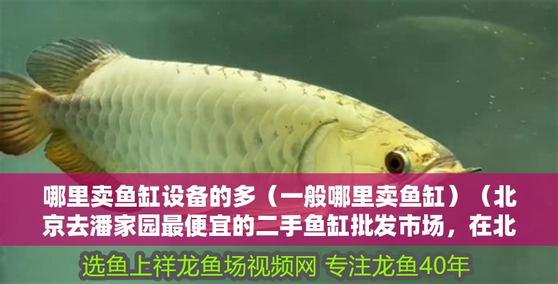 哪里賣魚缸設備的多（一般哪里賣魚缸）（北京去潘家園最便宜的二手魚缸批發市場，在北京去潘家園最便宜）