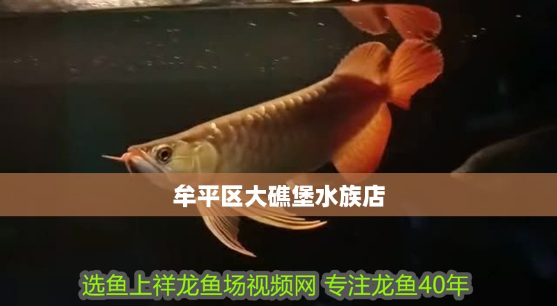 牟平區(qū)大礁堡水族店
