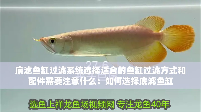 底濾魚缸過濾系統(tǒng)選擇適合的魚缸過濾方式和配件需要注意什么：如何選擇底濾魚缸